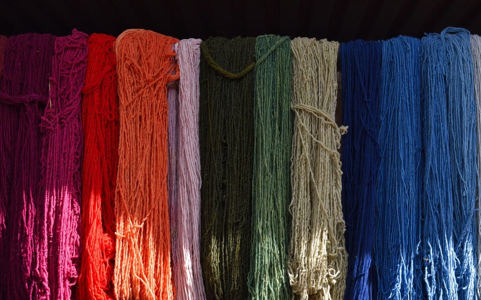 Dyed yarn skeins in magenta, orange, pink, green, beige and blue hang side by side